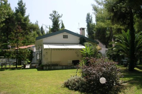 5 chambres House à Chalkidiki, Greece No. 59936 29