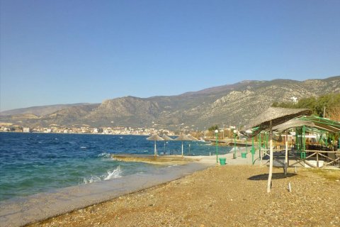 1300m² Land en Magnesia, Greece No. 59942 2