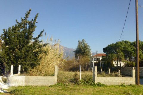 1300m² Land en Magnesia, Greece No. 59942 3