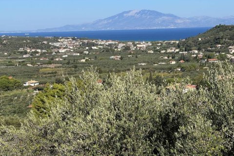 Land à Zakynthos, Greece No. 24490 8