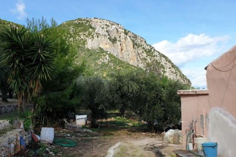 1 chambre House à Zakynthos, Greece No. 24492 13