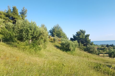 4500m² Land in Chalkidiki, Greece No. 57294 1