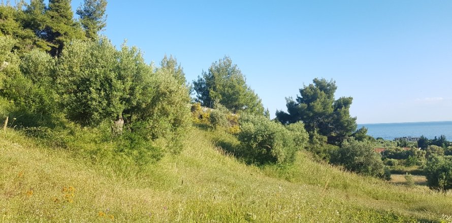 4500m² Land in Chalkidiki, Greece No. 57294