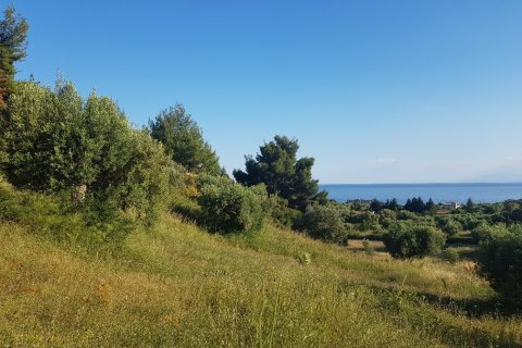 4500m² Land en Chalkidiki, Greece No. 57294 2