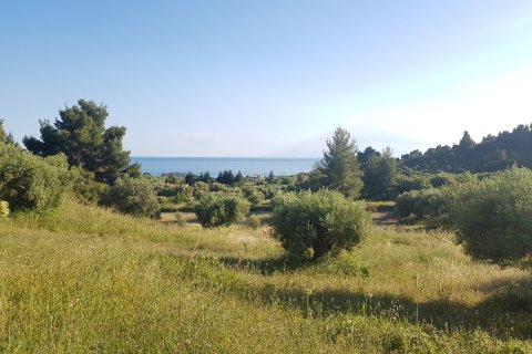 20000m² Land in Chalkidiki, Greece No. 57292 1