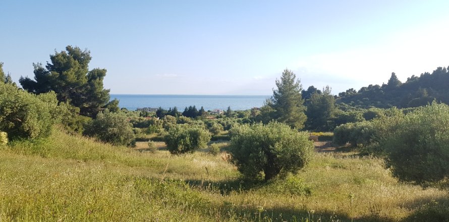 20000m² Land en Chalkidiki, Greece No. 57292