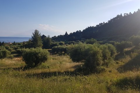 4500m² Land en Chalkidiki, Greece No. 57295 2