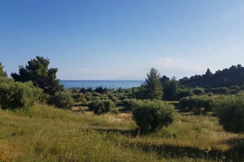 4500m² Land à Chalkidiki, Greece No. 57295 1