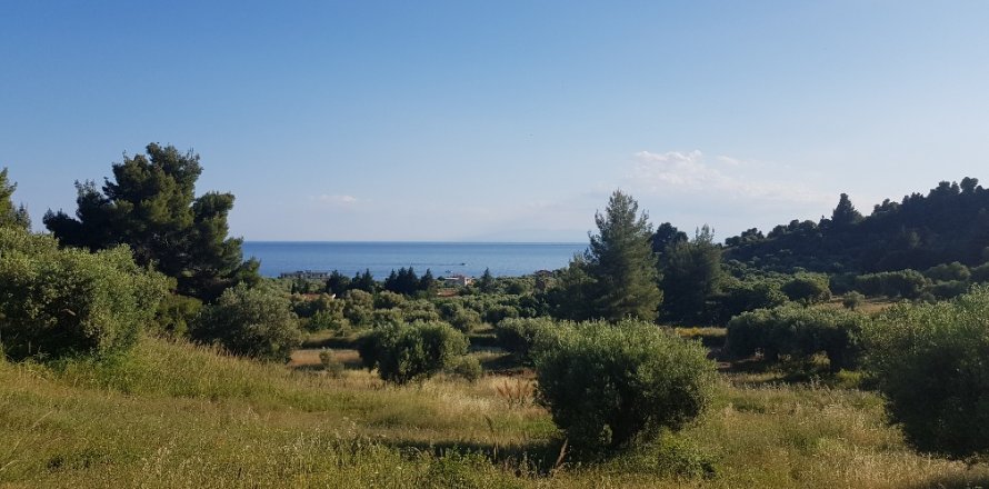 4500m² Land in Chalkidiki, Greece No. 57295