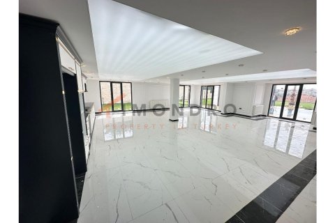 7+1 Villa en Bueyuekcekmece, Turkey No. 20212 7