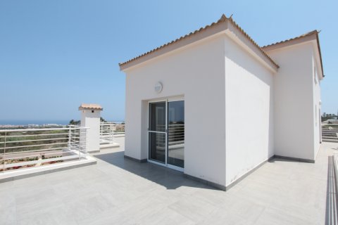 4 chambres Villa à Protaras, Cyprus No. 36581 22