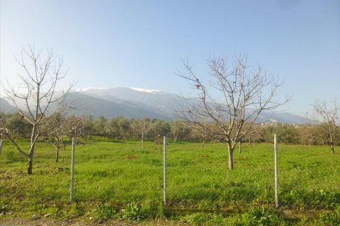 10000m² Land en Dion, Greece No. 60000 1