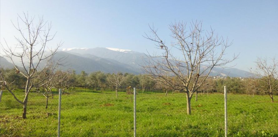 10000m² Land en Dion, Greece No. 60000