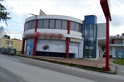 1000m² Business in Chalkidiki, Greece No. 60008 2