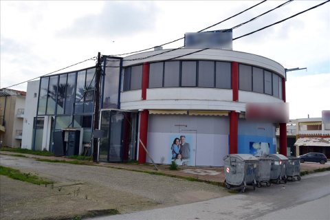 1000m² Business in Chalkidiki, Greece No. 60008 3