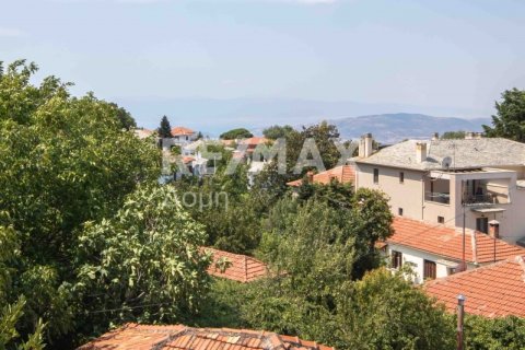 390m² Building in Magnesia, Greece No. 28030 13