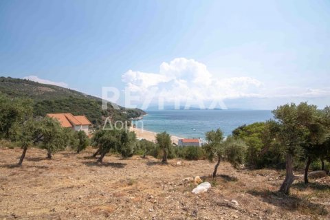 4403m² Land in Magnesia, Greece No. 28028 9