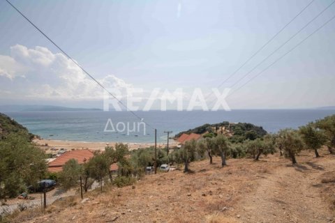 4403m² Land en Magnesia, Greece No. 28028 23