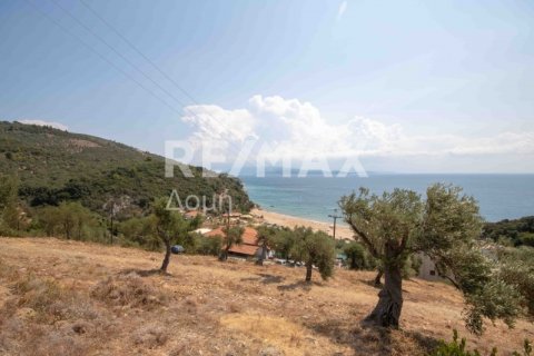 4403m² Land in Magnesia, Greece No. 28028 20