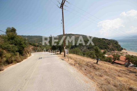 4403m² Land en Magnesia, Greece No. 28028 7