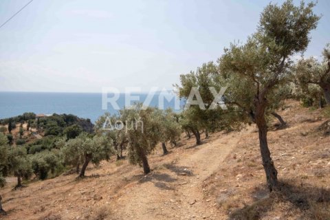 4403m² Land in Magnesia, Greece No. 28028 24