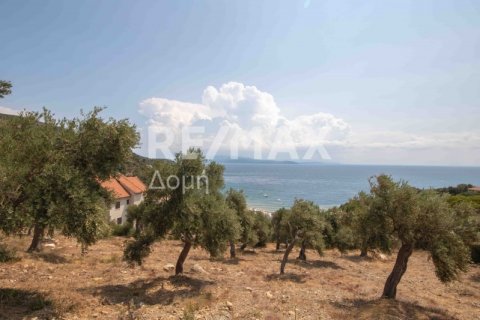 4403m² Land en Magnesia, Greece No. 28028 5