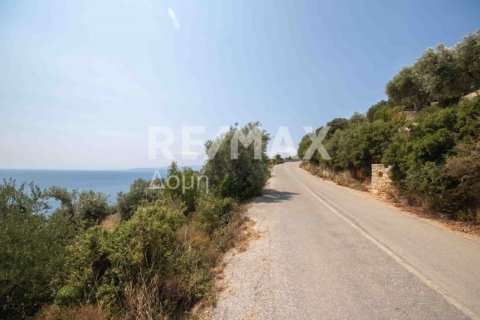 4403m² Land in Magnesia, Greece No. 28028 6