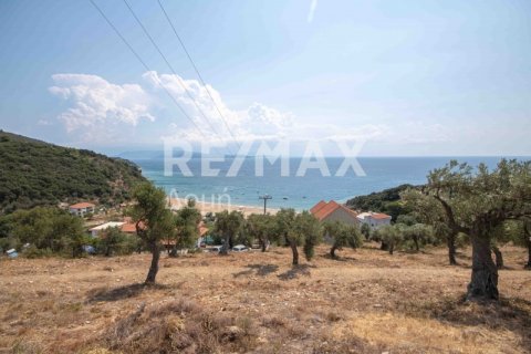 4403m² Land in Magnesia, Greece No. 28028 15