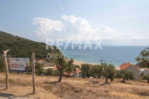 4403m² Land en Magnesia, Greece No. 28028 21