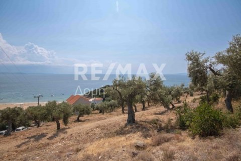 4403m² Land en Magnesia, Greece No. 28028 17