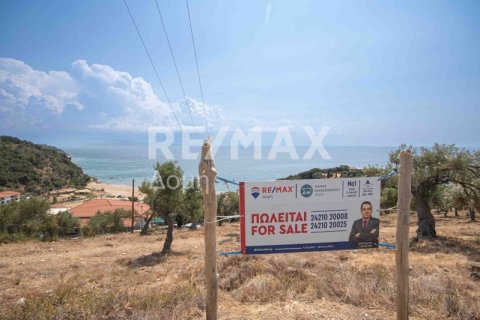 4403m² Land in Magnesia, Greece No. 28028 13