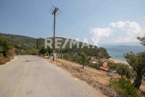 4403m² Land in Magnesia, Greece No. 28028 22