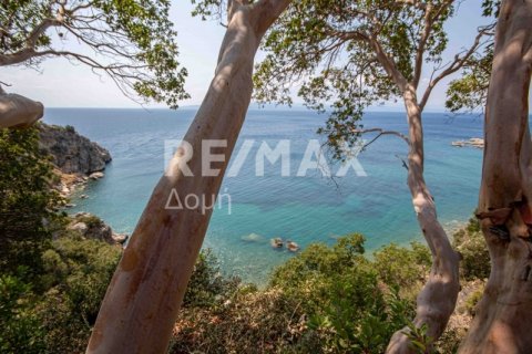 4403m² Land in Magnesia, Greece No. 28028 10