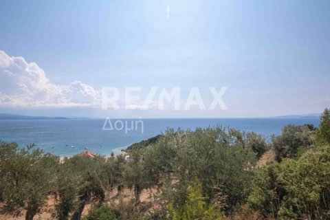 4403m² Land en Magnesia, Greece No. 28028 19