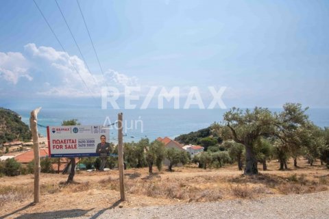 4403m² Land in Magnesia, Greece No. 28028 14