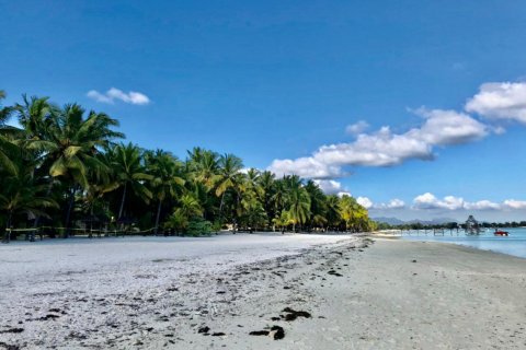 3 bedrooms Apartment in Trou aux Biches, Mauritius No. 60900 6