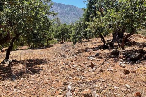 18000m² Land in Gazi, Greece No. 55974 6