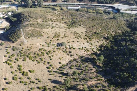 178820m² Land in Mijas, Spain No. 25732 19