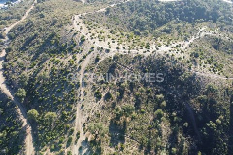 178820m² Land in Mijas, Spain No. 25732 25