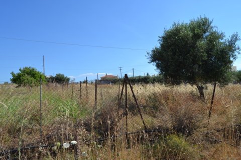 2420m² Land en Hersonissos, Greece No. 57121 7