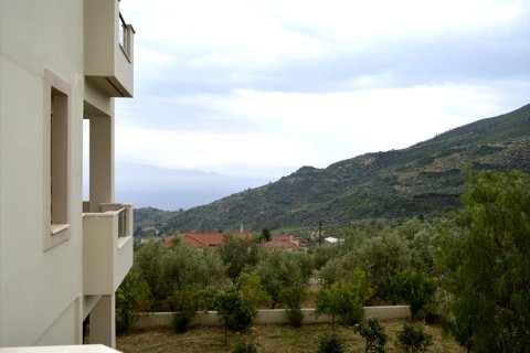 4 bedrooms Villa in Evrostina, Greece No. 58708 13