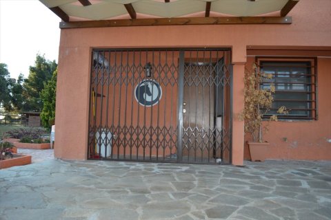 4 dormitorios House en Chalkidiki, Greece No. 58707 19