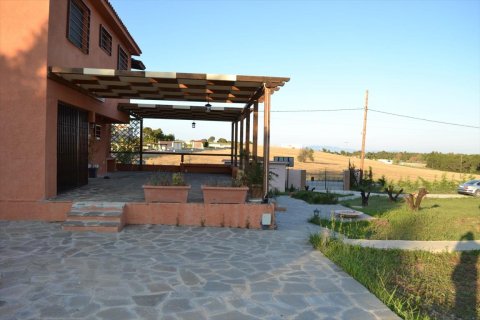 4 dormitorios House en Chalkidiki, Greece No. 58707 1