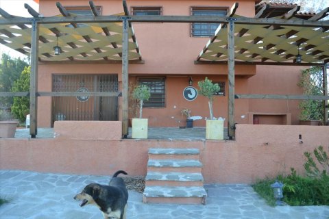 4 dormitorios House en Chalkidiki, Greece No. 58707 18