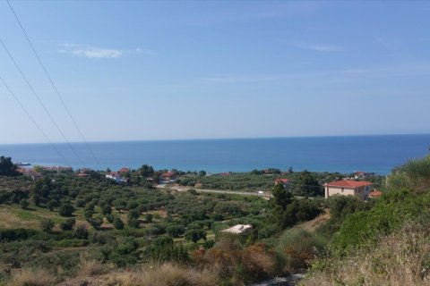 4062m² Land in Chalkidiki, Greece No. 58097 4