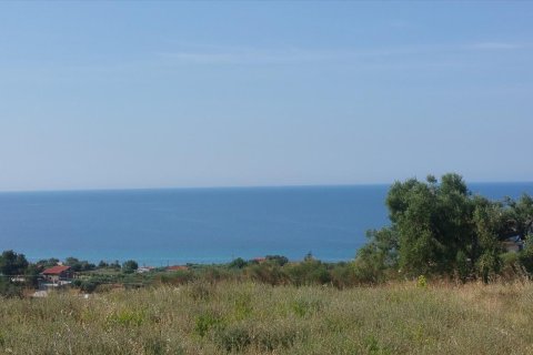 4062m² Land in Chalkidiki, Greece No. 58097 5