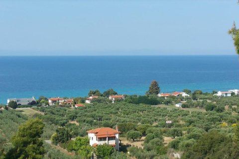 4062m² Land in Chalkidiki, Greece No. 58097 6