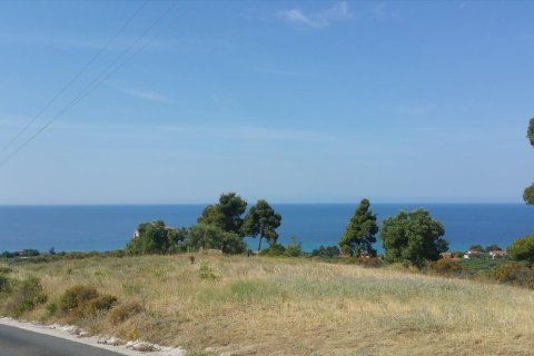 4062m² Land à Chalkidiki, Greece No. 58097 11