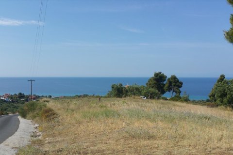 4062m² Land in Chalkidiki, Greece No. 58097 3