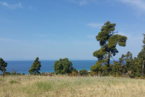 4062m² Land à Chalkidiki, Greece No. 58097 2